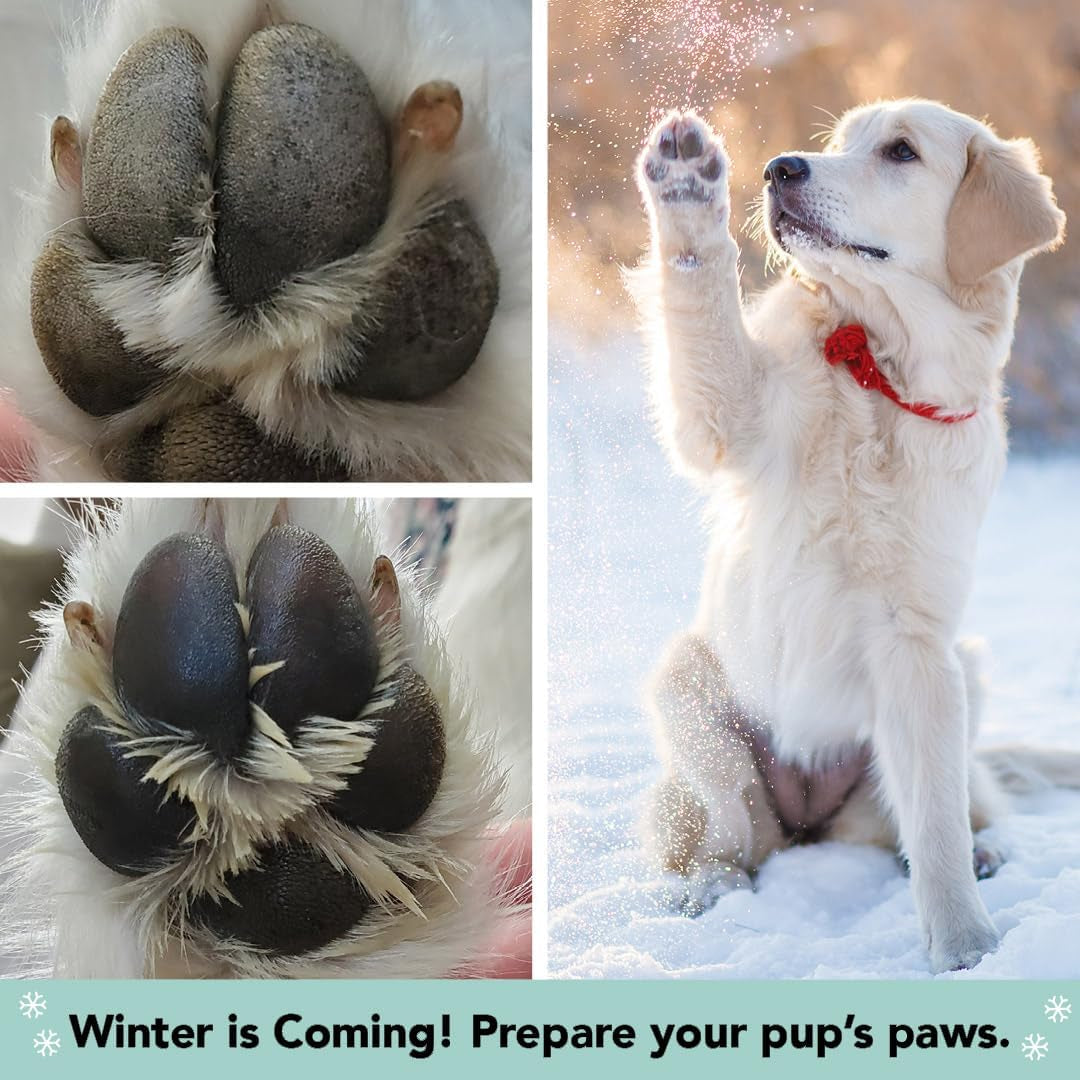 Ultimate Pawtection Balm for Dogs - Nourishing Moisturizer for Dry, Cracked Paws & Extreme Weather Defense (0.15 Oz Stick)