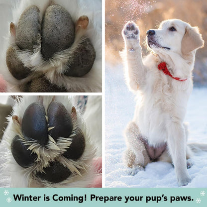 Ultimate Pawtection Balm for Dogs - Nourishing Moisturizer for Dry, Cracked Paws & Extreme Weather Defense (0.15 Oz Stick)