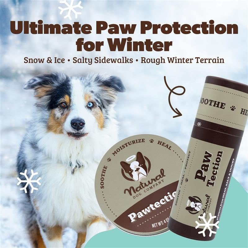 Ultimate Pawtection Balm for Dogs - Nourishing Moisturizer for Dry, Cracked Paws & Extreme Weather Defense (0.15 Oz Stick)